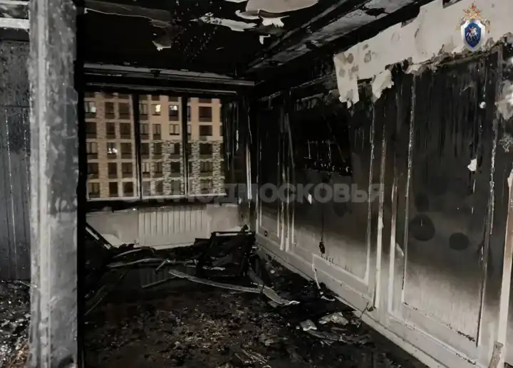 В больнице умерла девочка, пострадавшая от пожара у соседей в Сапроново