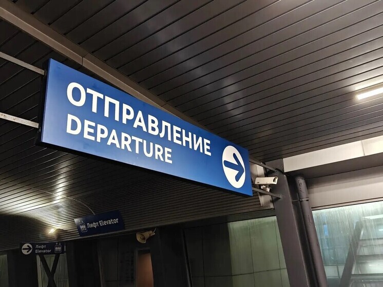 Ревнивца-убийцу из поселка Федоровское задержали в Пулково