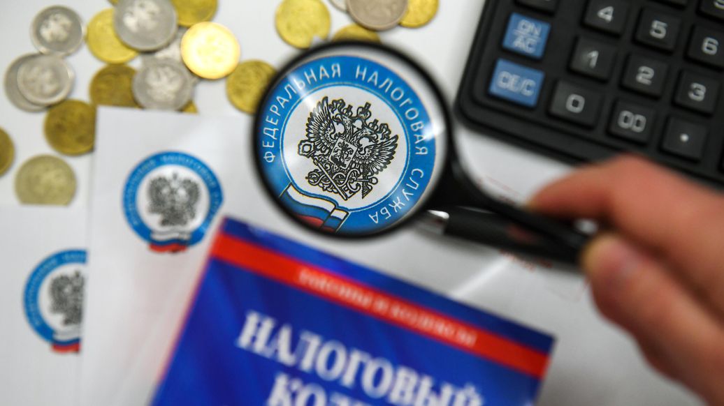 Экономист объяснил, как будут контролировать налоги самозанятых