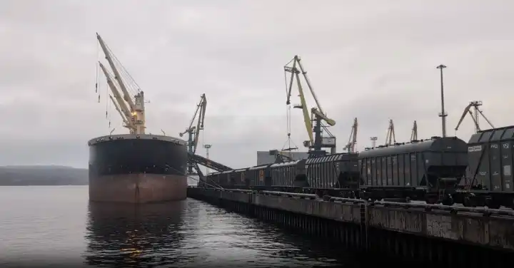 Зерно пошло на Север: Мурманск открыл аграриям новый путь на мировые рынки