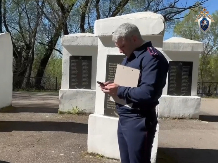 Жительница Новгородчины получила 2 года колонии за осквернение мемориала