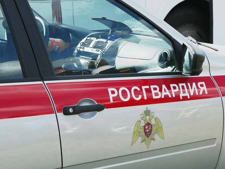 Дебошир устроил погром в школе и напал на росгвардейцев