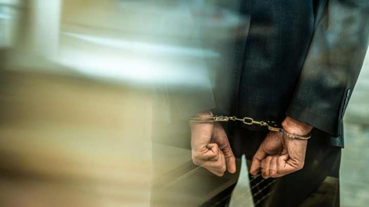 Задержаны 56 пользователей «Дайвинчика», совершивших преступления