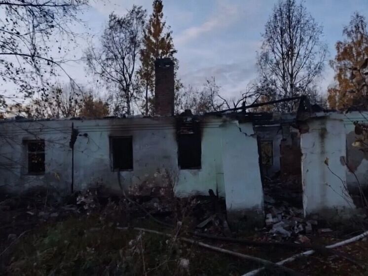 Следователи занимаются выяснением обстоятельств гибели женщин в пожарах в Усманском округе