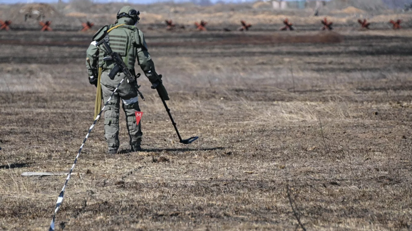 Боец Комбат: ВСУ заминировали тушку зайца в курском приграничье