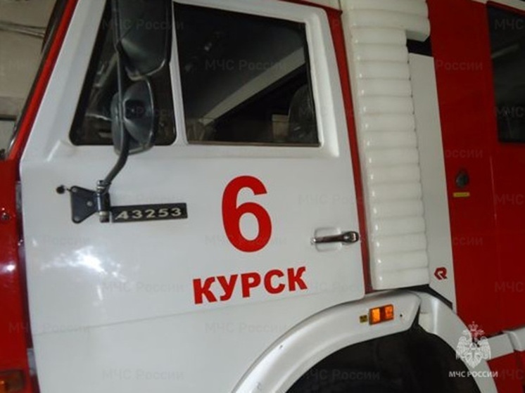 В Курской области за сутки ликвидировали 8 пожаров и обезвредили 12 боеприпасов