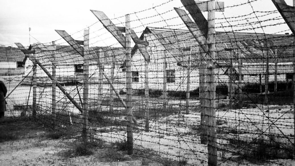 Историк рассказал о созданной финнами системе концлагерей в Карелии