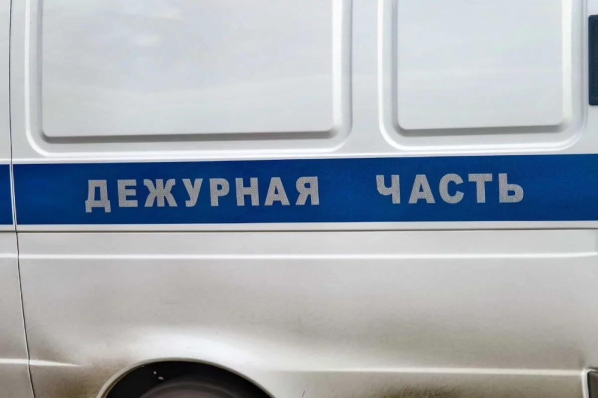 В Новосибирской области нашли мёртвыми двух пропавших подростков