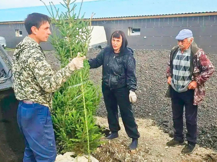 Липецкие волонтёры привели в порядок старинный парк в Пальна-Михайловке