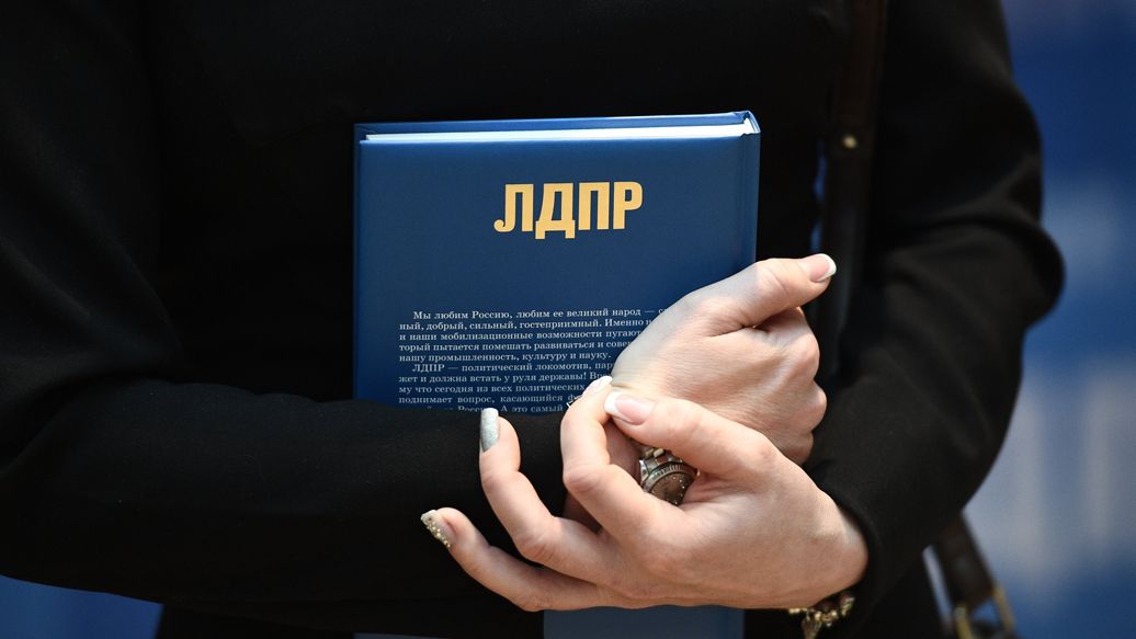 В ЛДПР предложили исключить пенсию ребенка-инвалида из доходов семьи
