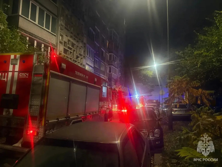 В Калининграде при пожаре в девятиэтажном доме погибла женщина с 20 кошками