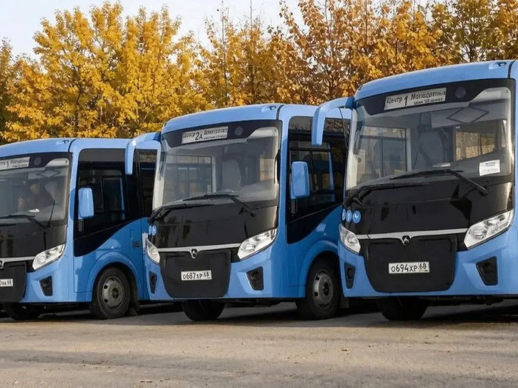 Первышов поздравил работников автотранспорта с профессиональным праздником