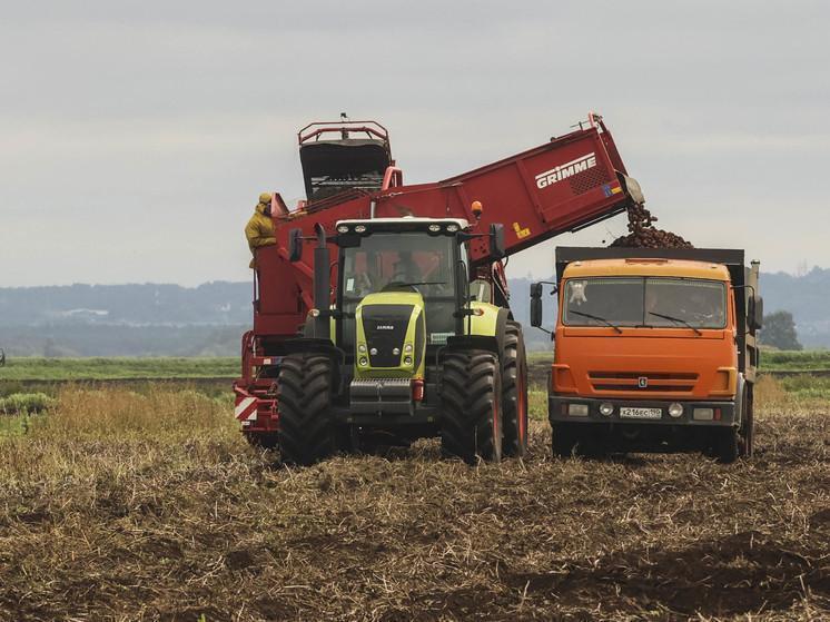 Агропромышленный комплекс Костромской области увеличил выпуск продукции на 7%