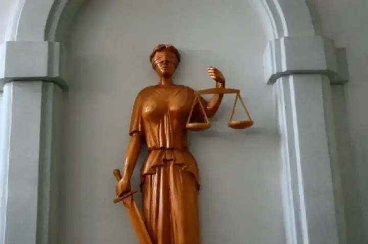 Британского активиста признали виновным в преследовании журналистов