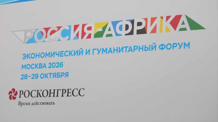Вместе против неоколониализма: что обсудили на пленарном заседании саммита «Россия — Африка»