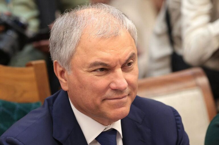 Володин в Индии провел переговоры с зарубежными коллегами