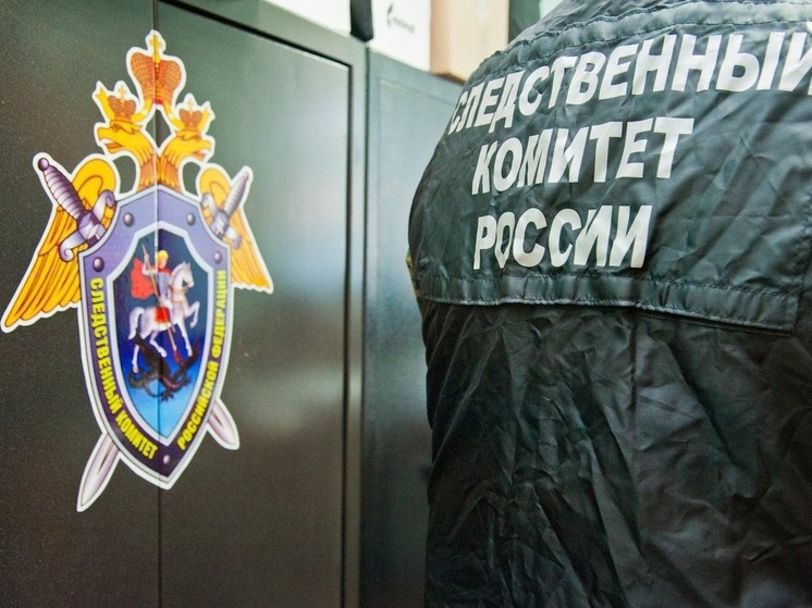 Боец СВО из Волгограда обратился в СК после потери 3,5 млн рублей