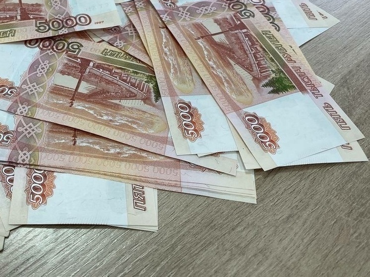Миллион на баню: туляки посчитали бюджет загородной жизни»