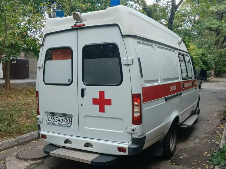 Один человек пострадал при атаке БПЛА в Ростовской области минувшей ночью