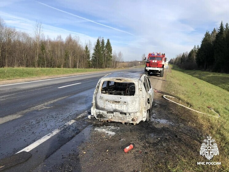 Легковой автомобиль вспыхнул на ходу в Судиславском районе