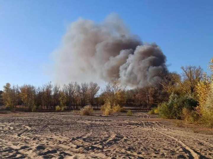 В Волгограде пожарные потушили горевший камыш на площади 5 гектаров