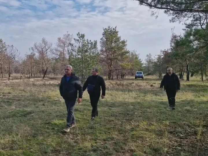 В Голопристанском лесхозе проводят рейды против незаконных рубок