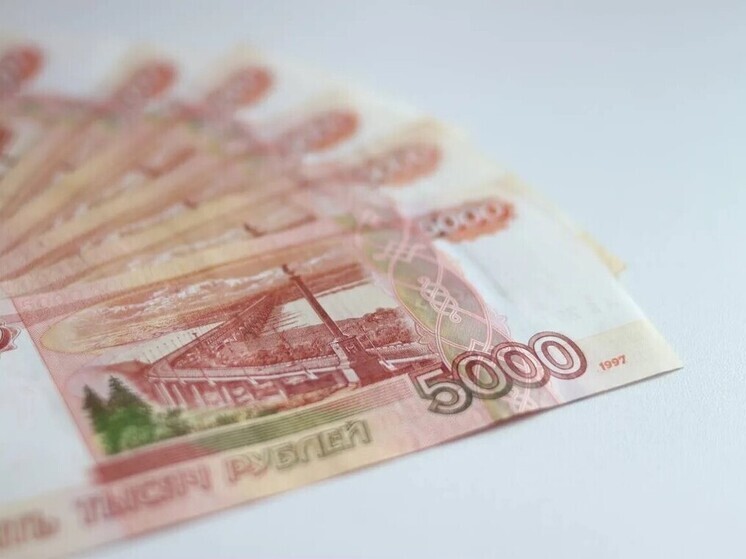 В Мурманской области задолженность по зарплате достигла 18,1 млн рублей