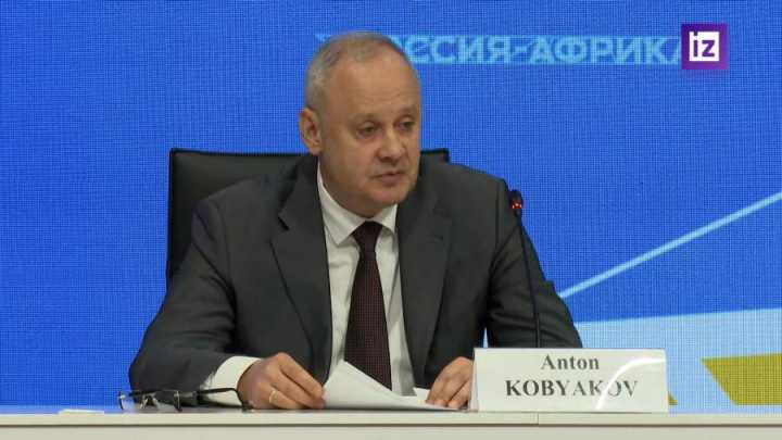Кобяков о военно-техническом сотрудничестве стран Африки и РФ