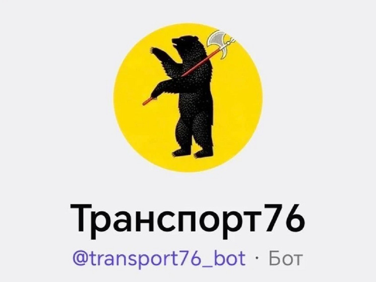 В Ярославле для пассажиров ввели чат-бот в мессенджере МАКС