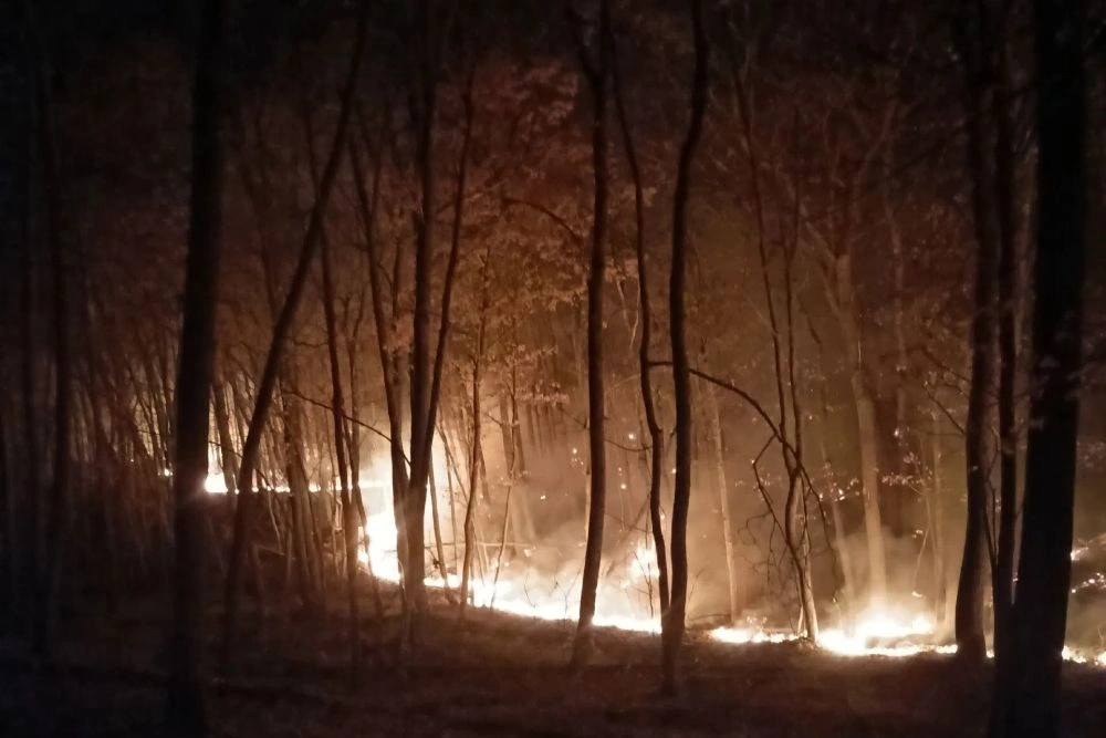 В Саратовской области знаменитому селу Лох угрожает лесной пожар
