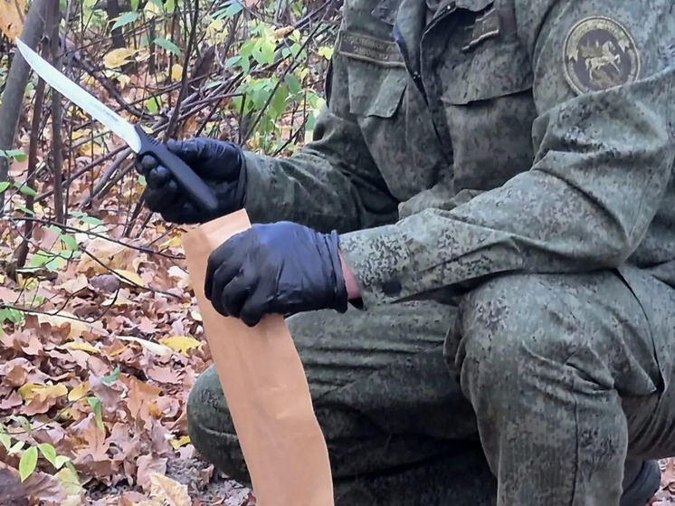 В Мичуринске мужчина угрожал ножом школьнику и полицейскому