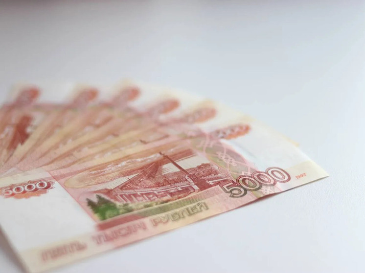 До 350 тысяч рублей могут получить жители Калининградской области на свой бизнес