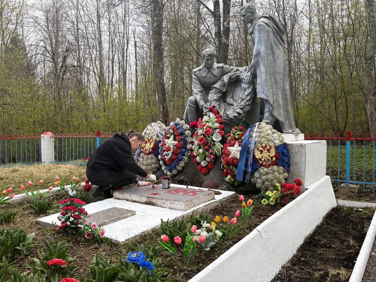 Ленобласть получила сразу 4 награды в конкурсе «Лучшая муниципальная практика»